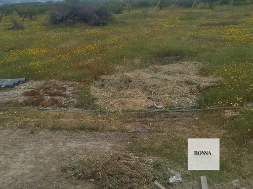 Parcela En Cauquenes