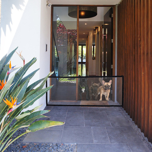 Puerta Para Perros Puerta Portátil Para Mascotas