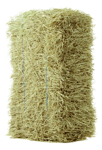 Capim Feno Fardo 15kg Resistente A Seca Vaca Cavalo Cabrito