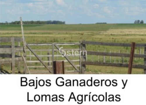 Venta Campo En Puntas De Maciel, Florida- Ref: 1640
