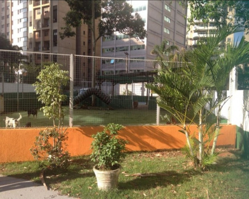 Imagem 6 de 10 de Comercial Na Rua Domingos Lopes Da Silva - Te00009 - 67749902