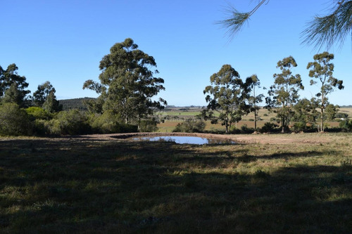 Venta Chacra Ruta 60 Maldonado Pan De Azucar Cerro Betete