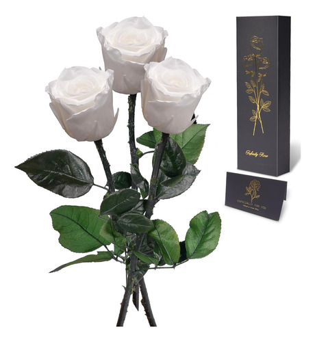 Flores Preservadas Yamonic De Rosas Como Regalo Para Mujeres