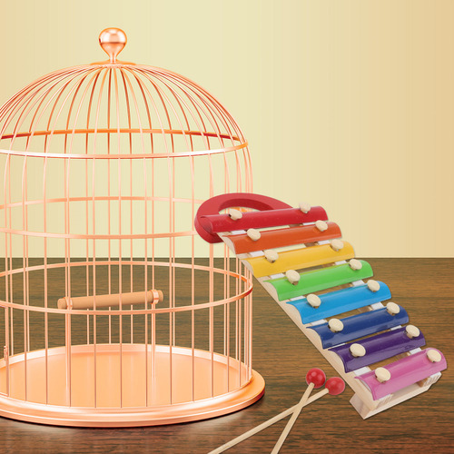 1 Juego De Juguetes Para Masticar Loros, Juguetes De Madera