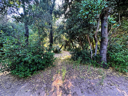 Parcela En Cond. Bosques De Aculeo, Laguna De Aculeo, Paine.