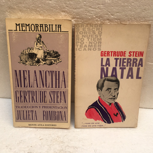 Gertrude Stein, 2 Libros: Melanctha. La Tierra Natal