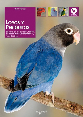 LOROS Y PERIQUITOS, de RAVAZZI GIANNI. Editorial Vecchi, tapa blanda en español, 2008