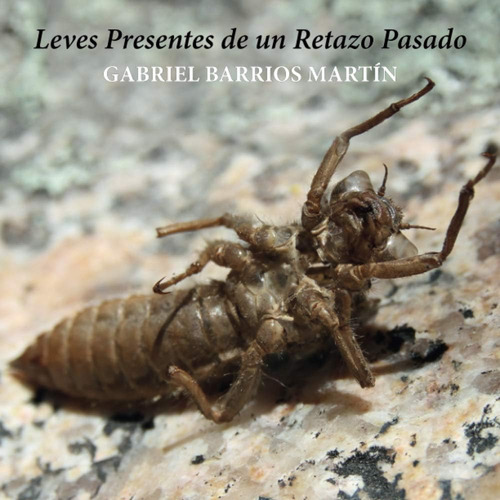 Libro: Leves Presentes De Un Retazo Pasado (spanish Edition)