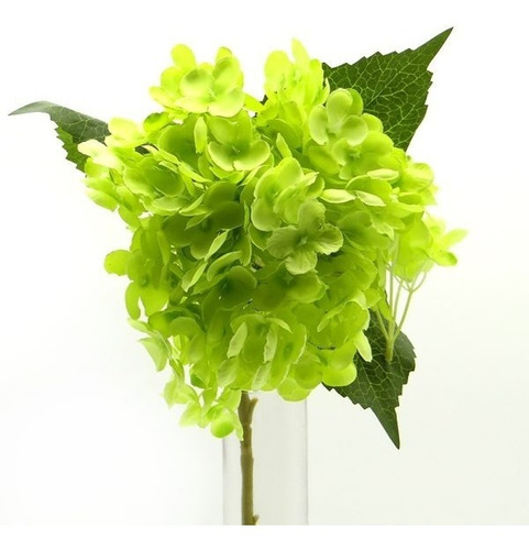 Imagen 3 de 6 de Vara De Hortensia