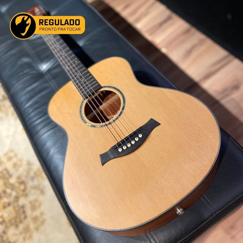 Violão Elétrico Aço Mini Gonzalez Luthier Gz Mini - Regulado