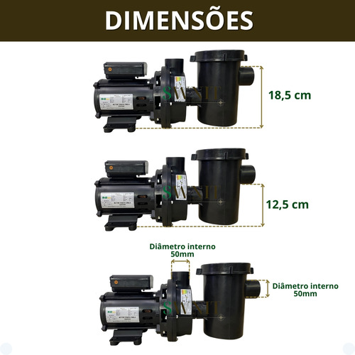Motobomba Para Piscina Com Pré-filtro Seg Max Torque 1/2hp