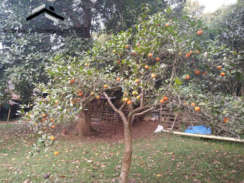 Imagem 9 de 15 de Chácara Com Piscina No Tijuco Preto - 472