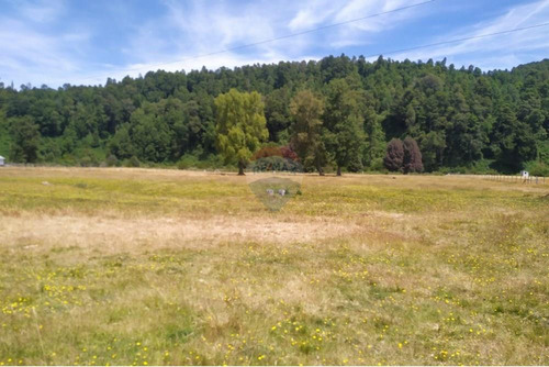 Tu Refugio Natural En Valdivia 26000 M² De Ensueño