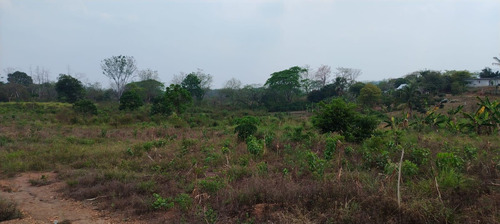 Terreno En Renta De Terreno A Pie De Carretera En Sebastopol Tuxtepec Oaxaca