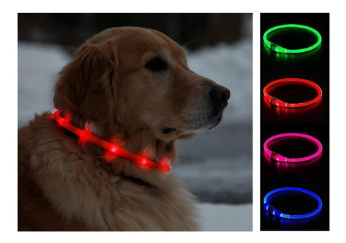 Collar Luces Luz Led Luminoso Mascota Gatos Y Perros Recarga