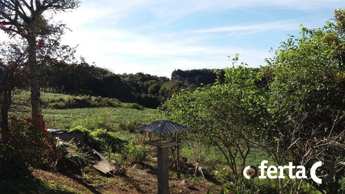 Imagem 8 de 15 de Chacara Com Casa - Mariental - Ref: 324 - V-324