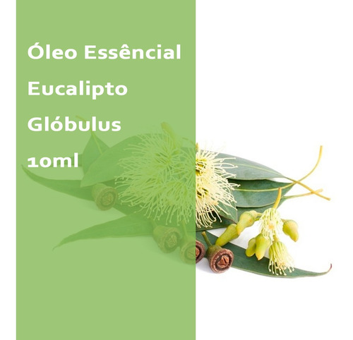 Imagem 1 de 2 de Óleo Essencial Eucalipto Glóbulus 80-85% Cineol - 10ml