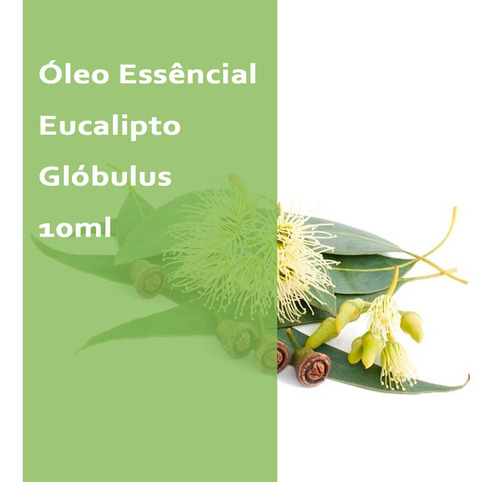 Óleo Essencial Eucalipto Glóbulus 80-85% Cineol - 10ml