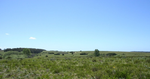 Quinta En Venta En Rincon De Jose Ignacio