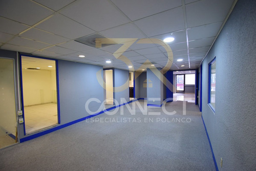 Oficina En Renta En Anzures 6c/2b/1e - Excelente Ubicación - 178m2