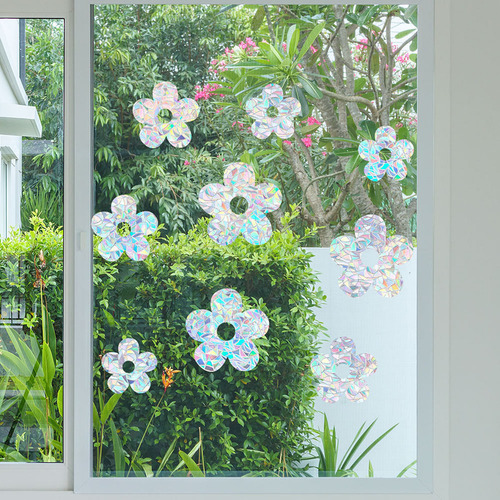 Adhesivo Electrostático Para Ventanas Antipájaros Glass St