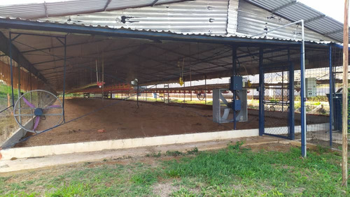 Vendo Finca En Tinaquillo Cojedes Mg