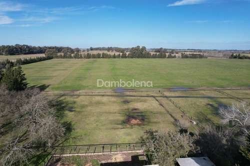 Imagen 16 de 26 de Terreno Fraccion En Venta Ubicado En Cañuelas, Resto De La Provincia, Buenos Aires