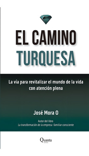 El Camino Turquesa, De Mora, José. Editorial Bubok Publishing, Tapa Blanda En Español