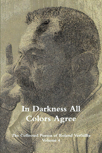 In Darkness All Colors Agree, De Verfaillie, Roland. Editorial Purple Onion Pr, Tapa Blanda En Inglés