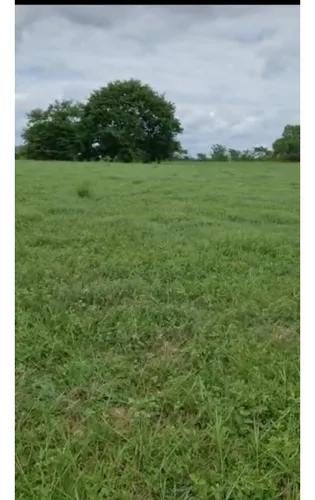Finca En Venta, Las Tablitas Sucre