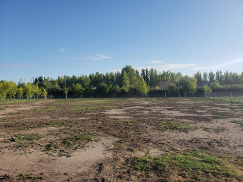 Imagen 8 de 14 de Lote De 1.850 M2 En Barrio 4 Estaciones, Calle Cubillos - Rama Caída