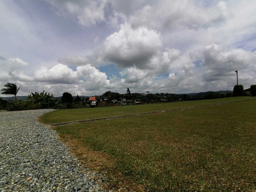 Imagen 10 de 14 de Finca San Vicente 6.400 Mts 1.300 Millones