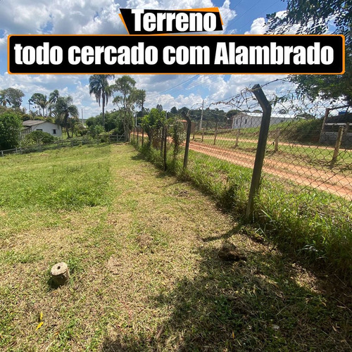 Imagem 10 de 10 de L51- Chácara Toda Cercada Com Muitas Árvores Frutíferas!!!