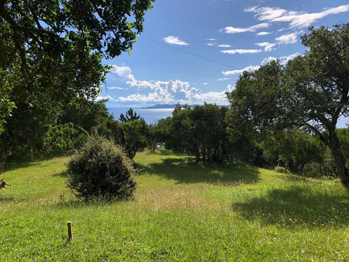 Parcela En Venta En Futrono - Llifen - 1.05 Hectáreas C/rio