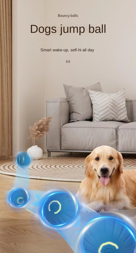 Juguete Int. Para Perro, Bola Rol. Dur. Para Perros