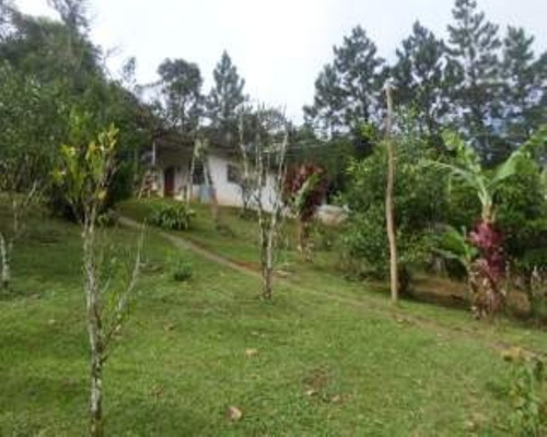 Chacara - 03407 - 33228877
