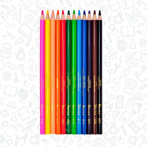 15 Cajas De 12 Lápices De Colores Intenso Profesional Norma