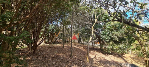 Imagem 10 de 15 de Chácara Para Venda Em Itatiaiuçu - 70523_2-1233756