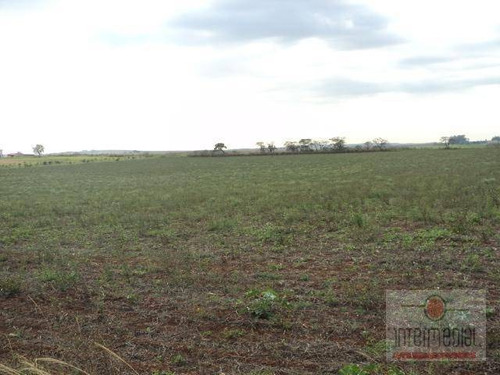 Imagem 6 de 12 de Área Residencial À Venda, Pau Dalho, Boituva. - Ar0042