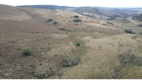 Campo En Rocha 78ha (ref: Atm-6768)