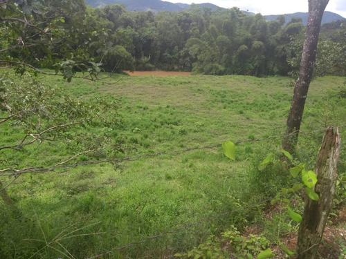 Imagem 27 de 30 de Fazenda - Fa00003 - 34856184