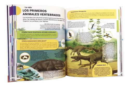Mi Primaria Temática, De Vários., Vol. Delgado. Editorial Lidis, Tapa Dura En Español