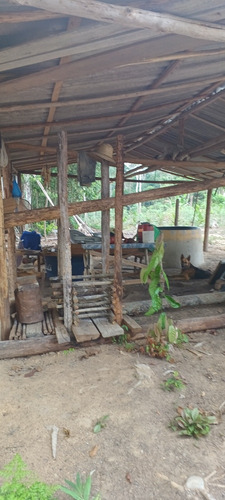 Sítio Com 2 Casas Am 010 Km 116