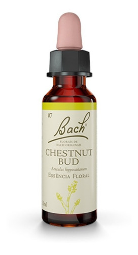 Chestnut Bud 10ml Estoque - Florais De Bach Originais