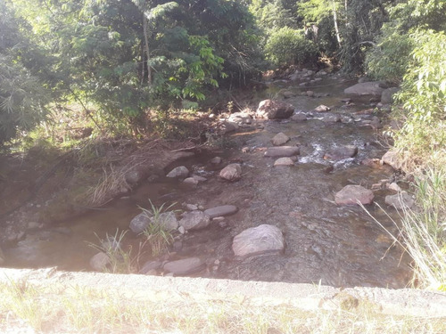 Imagem 2 de 15 de Chácara Para Venda Em Itariri, Igrejinha, 2 Dormitórios, 2 Banheiros, 6 Vagas - 239_2-841487
