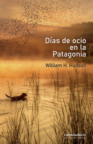Días De Ocio En La Patagonia - Wlliam H. Hudson