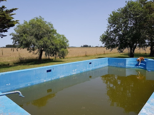 Imagen 4 de 9 de Campo En Venta. Gral Belgrano. Bs As.