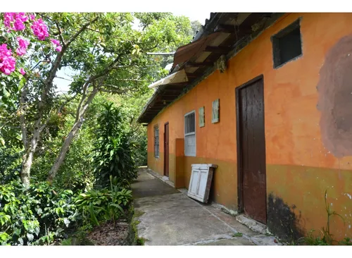 Venta Finca 77000 Mts2 Abejorral Vereda El Guaico