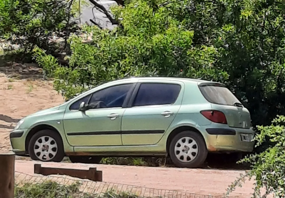 Peugeot 307 1.6 Xs