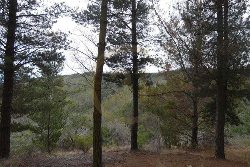 Terreno Tunquén: Naturaleza Y Vista Al Mar